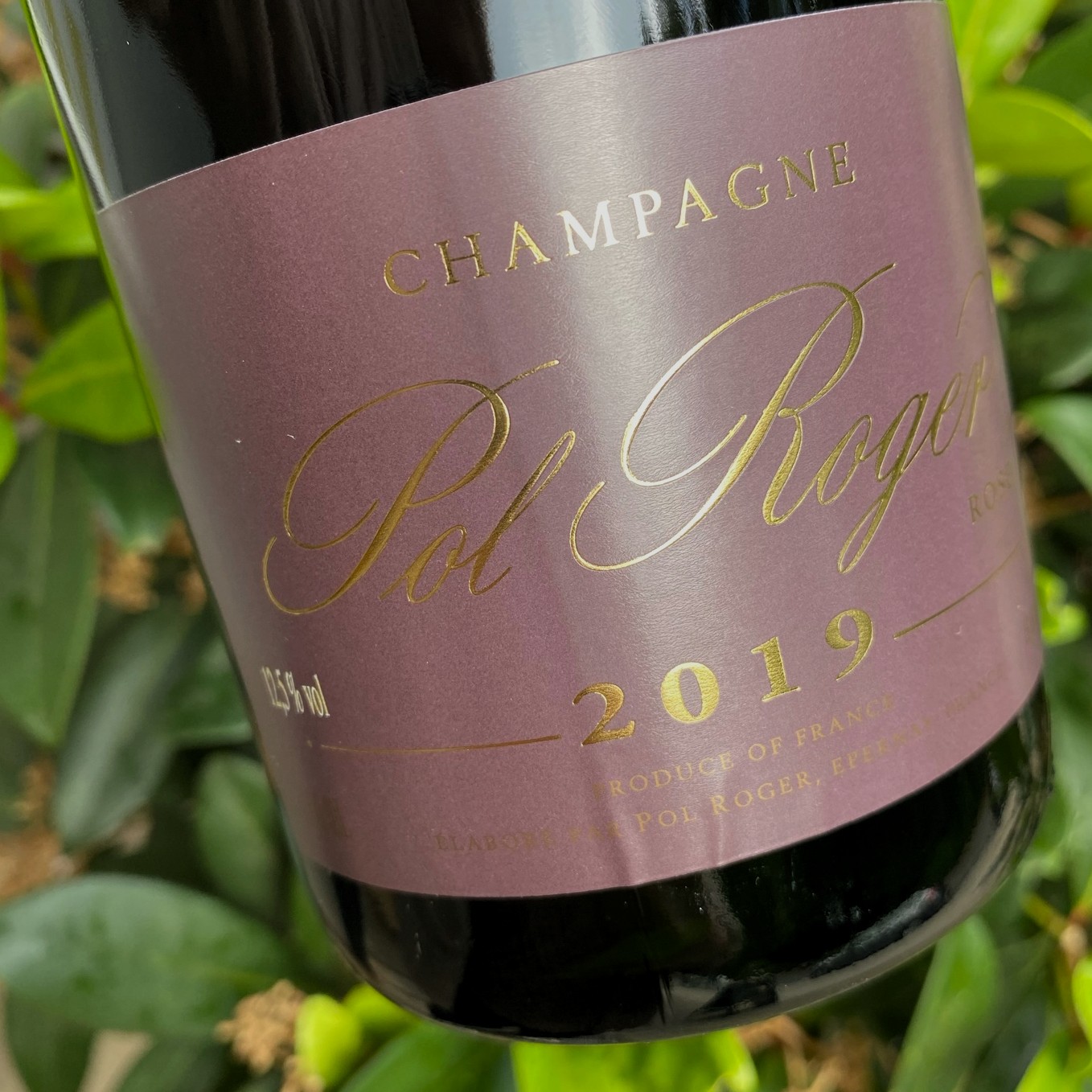 2019 Vintage Champagne Pol Roger Rose Brut