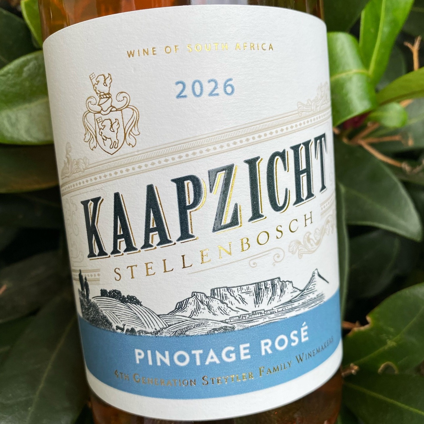 2026 Pinotage Rosé Kaapzicht
